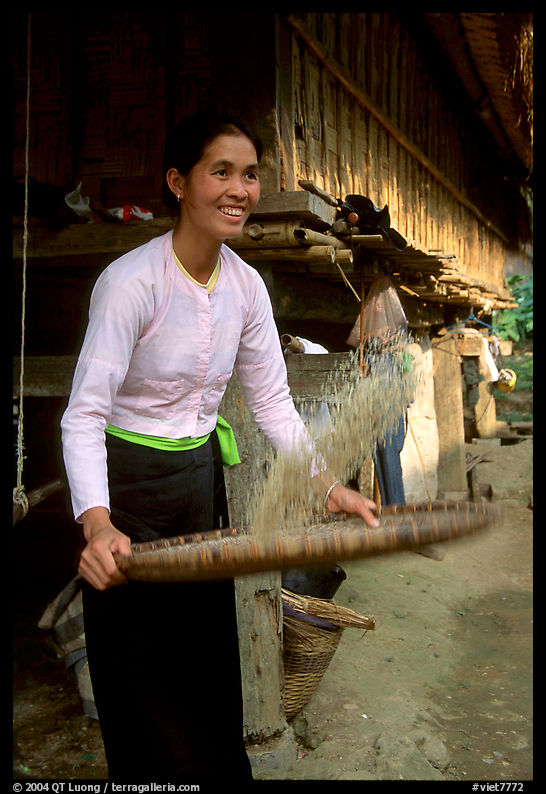 Woman of the Thai ethnicity sorting grain, near Mai Chau. Vietnam