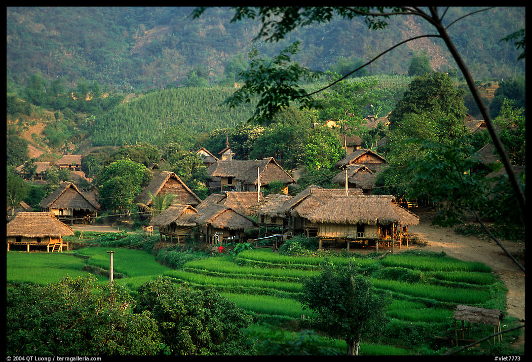 Thai village of stilt houses, near Mai Chau. Northwest Vietnam