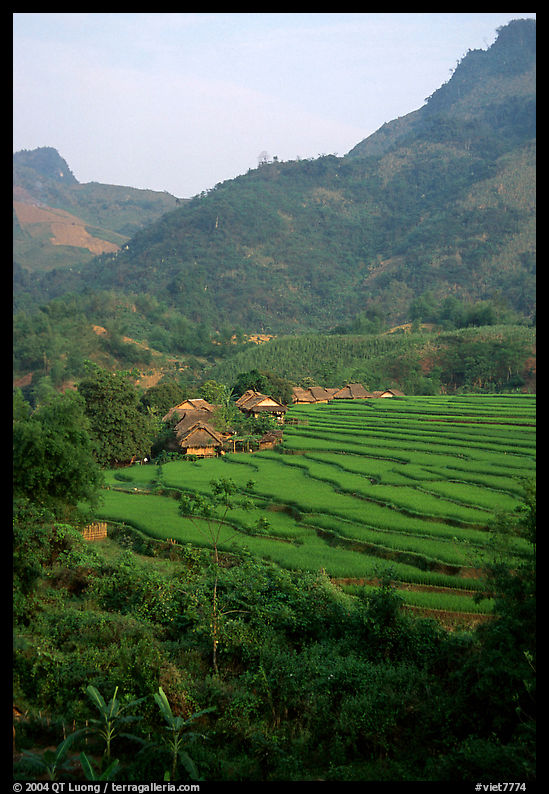 Minority village and rice terraces, near Mai Chau. Northwest Vietnam