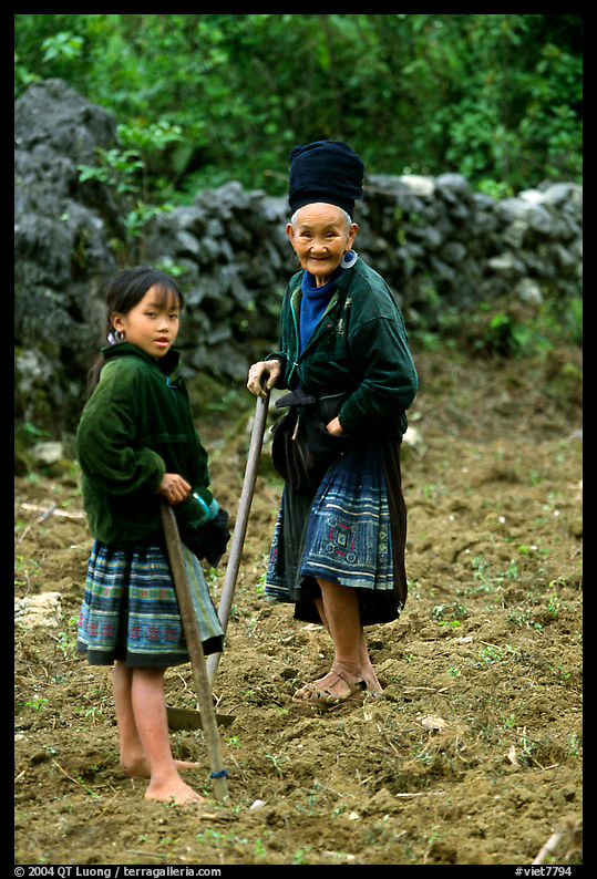 Elderly tribeswoman and girl doing field work  near Yen Chau. Northwest Vietnam