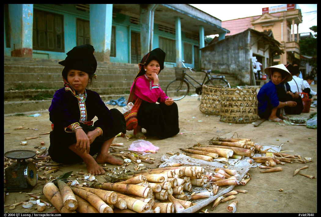 Thai women selling cut sugar cane, Tuan Giao. Northwest Vietnam