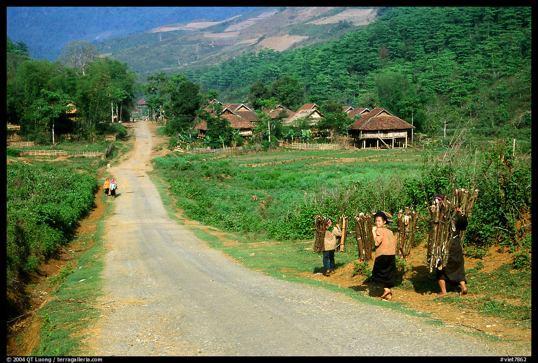 Family carrying logs walking towards their village, between Tuan Giao and Lai Chau. Northwest Vietnam