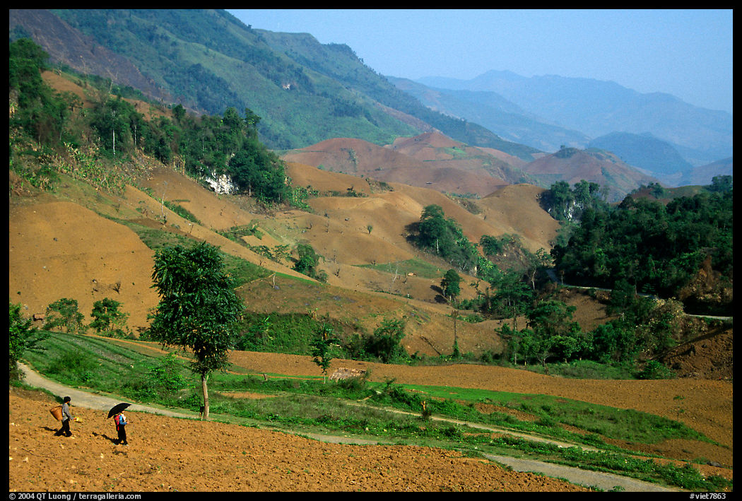 Two montagnards walking down a field, between Tuan Giao and Lai Chau. Northwest Vietnam