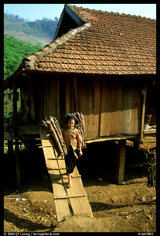Montagnard child carries logs out of her house, between Tuan Giao and Lai Chau. Northwest Vietnam