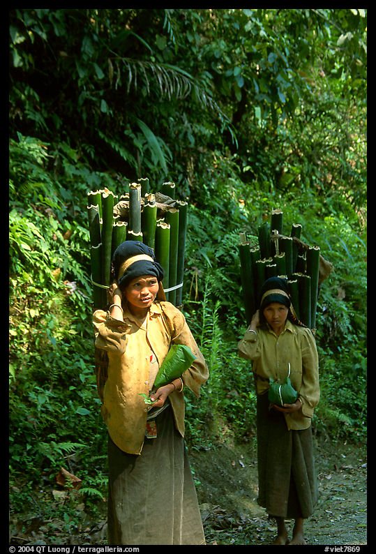 Montagnard women carrying bamboo sections, near Lai Chau. Northwest Vietnam