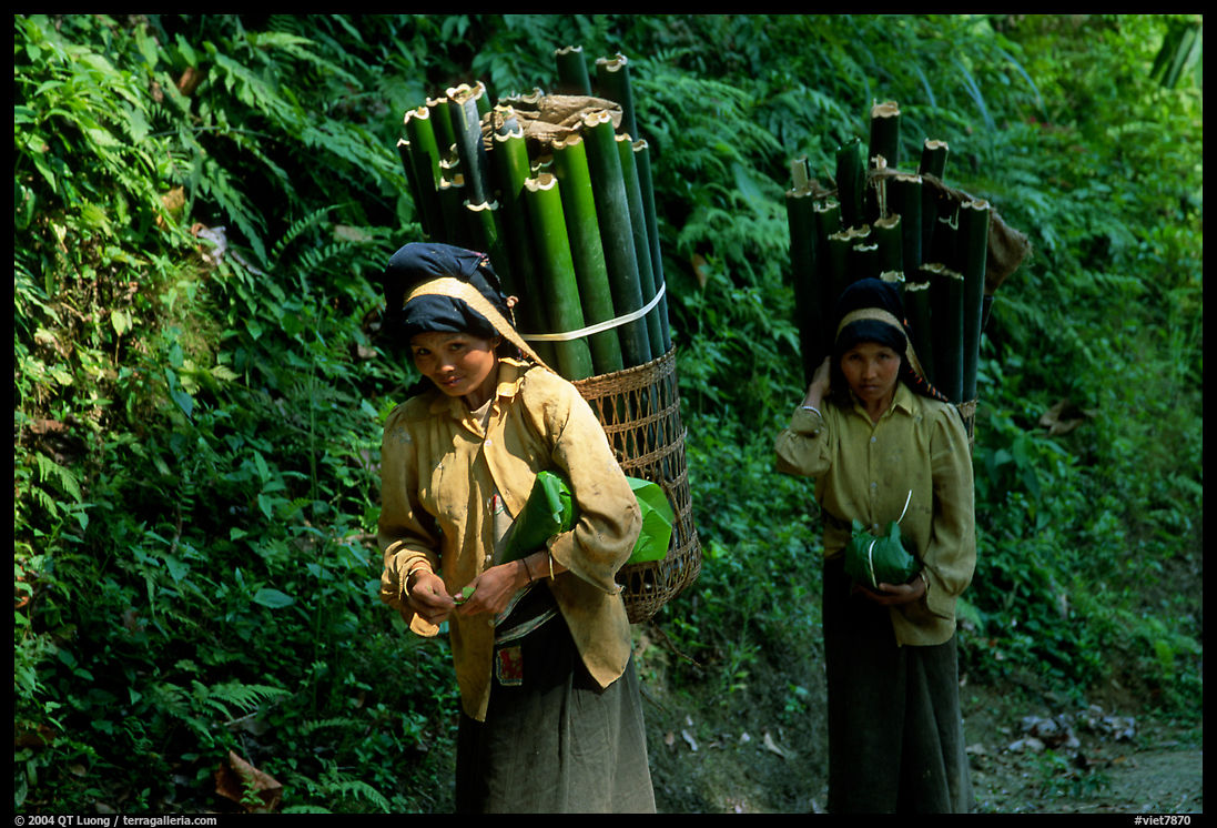 Montagnard women carrying bamboo sections, near Lai Chau. Vietnam