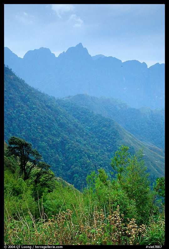 Forests and peaks in the Tram Ton Pass area. Sapa, Vietnam