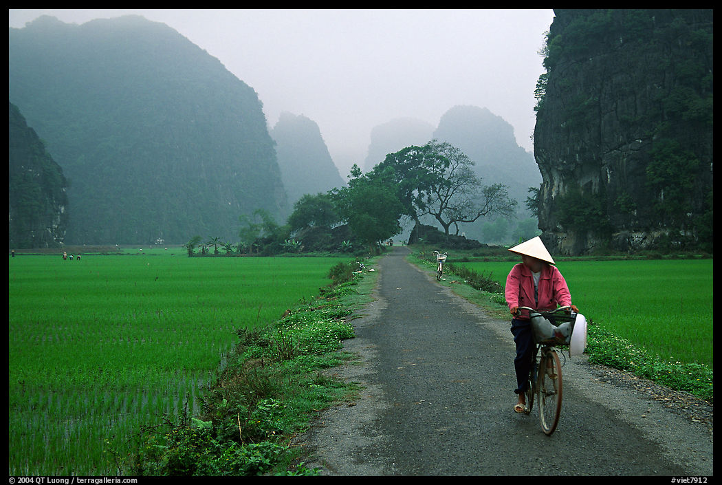 Bicyclist on a dry levee. near Ninh Binh,  Vietnam