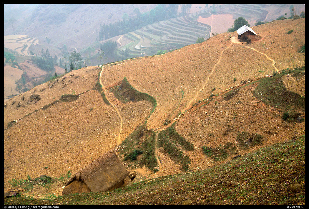 Dry cultivated terraces. Vietnam