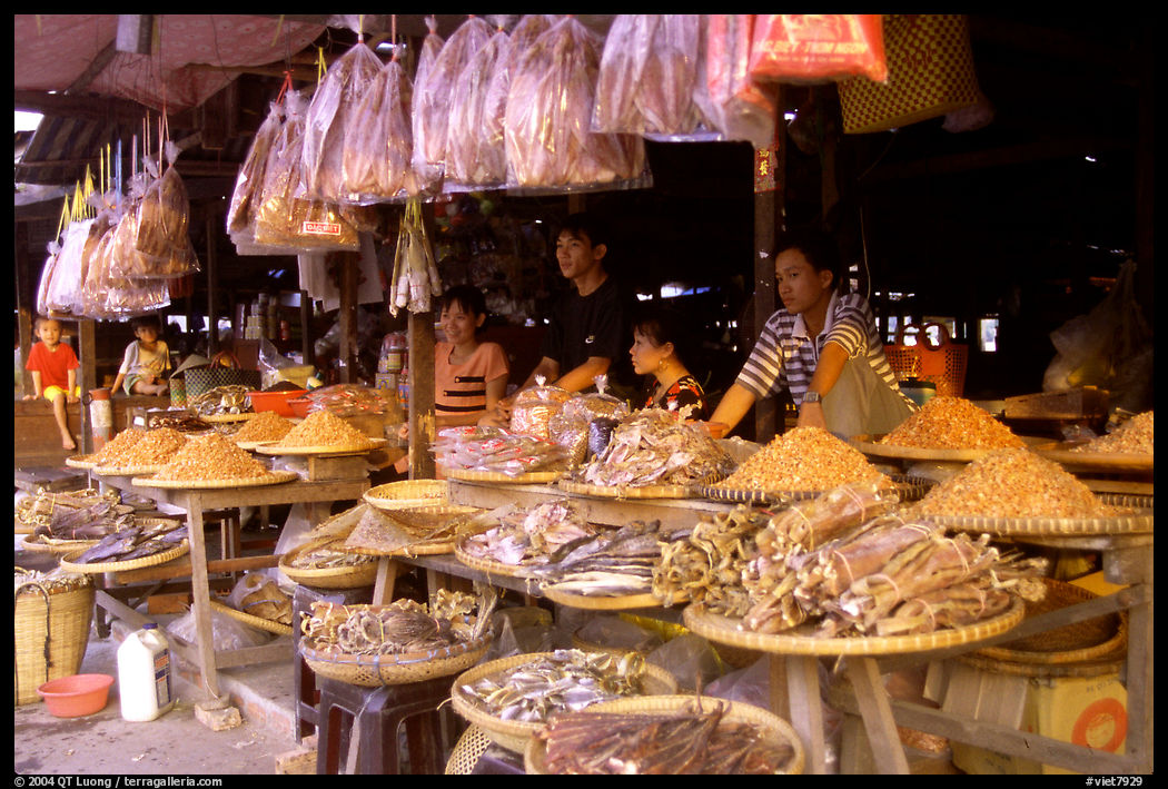 A variety of dried shrimp and fish for sale. Ha Tien, Vietnam