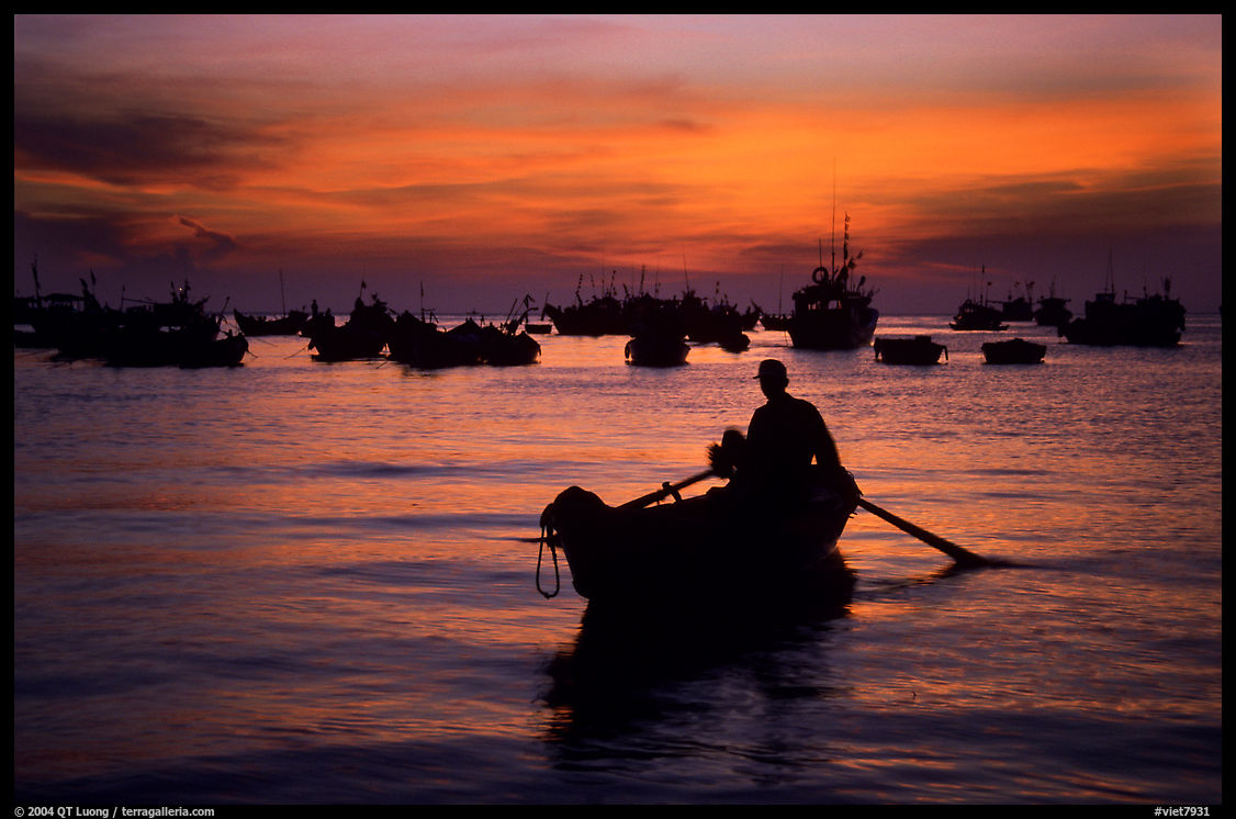 Man in a small boat, with moored boats seen against a vivid sunset. Vung Tau, Vietnam