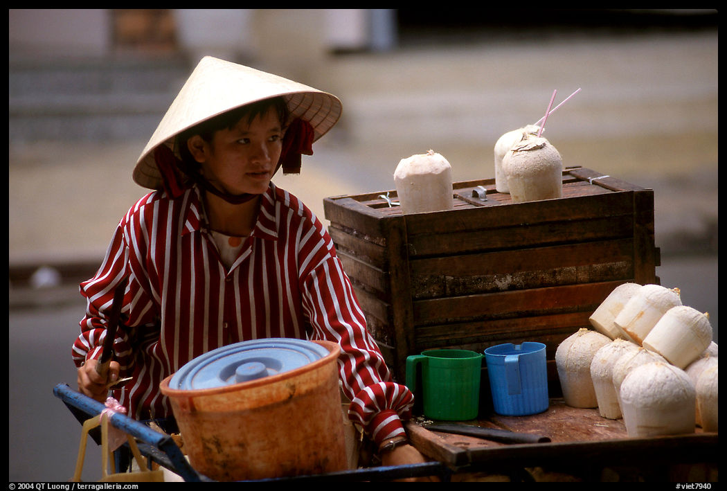 Coconut street vendor. The sweet juice is drank directly from a straw.. Ho Chi Minh City, Vietnam