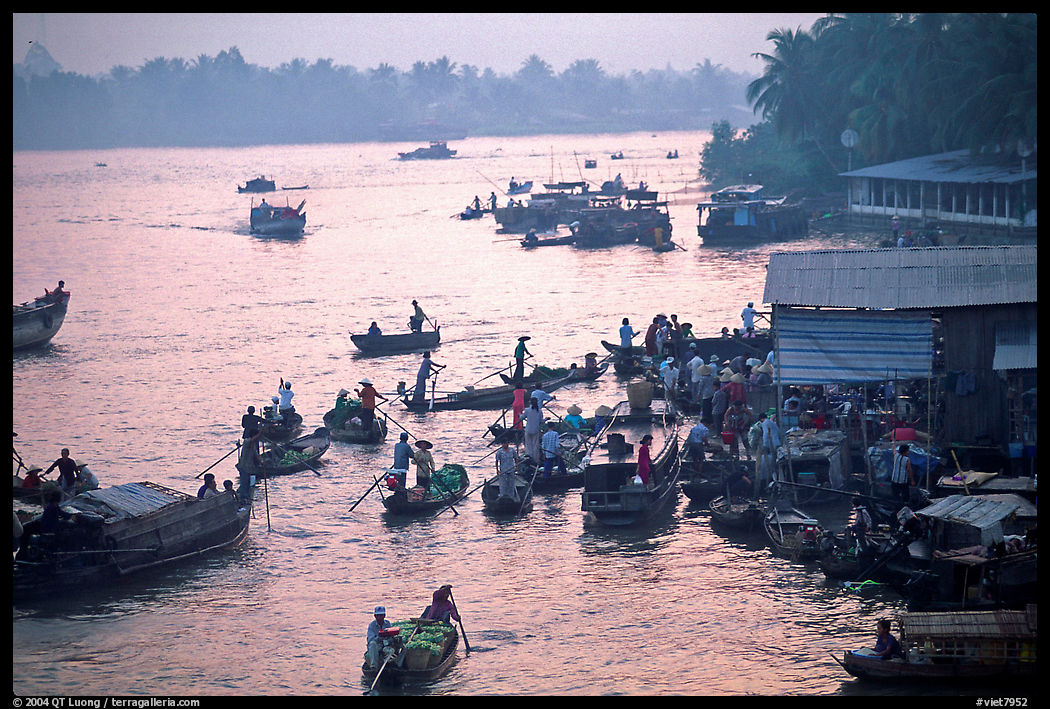 Busy river  at sunrise. Can Tho, Vietnam