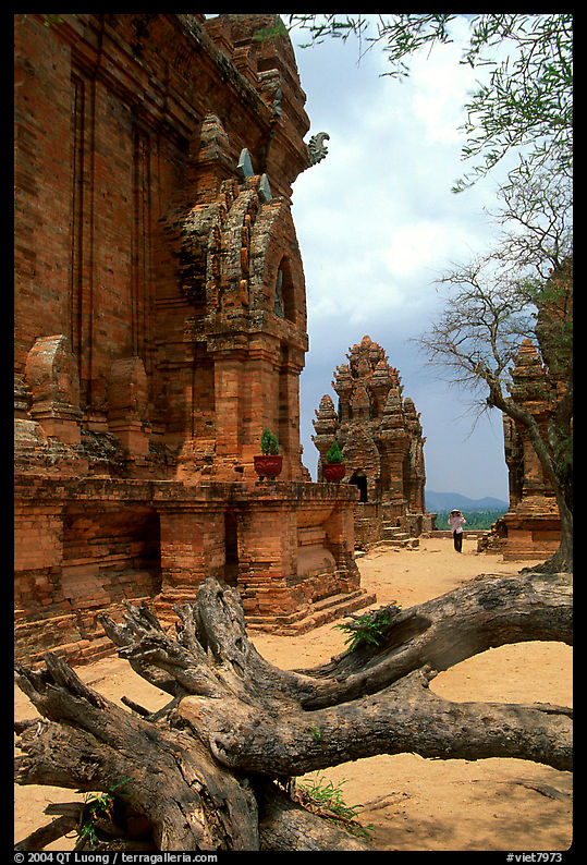 Among the Cham towers of Po Klong Garai. Vietnam