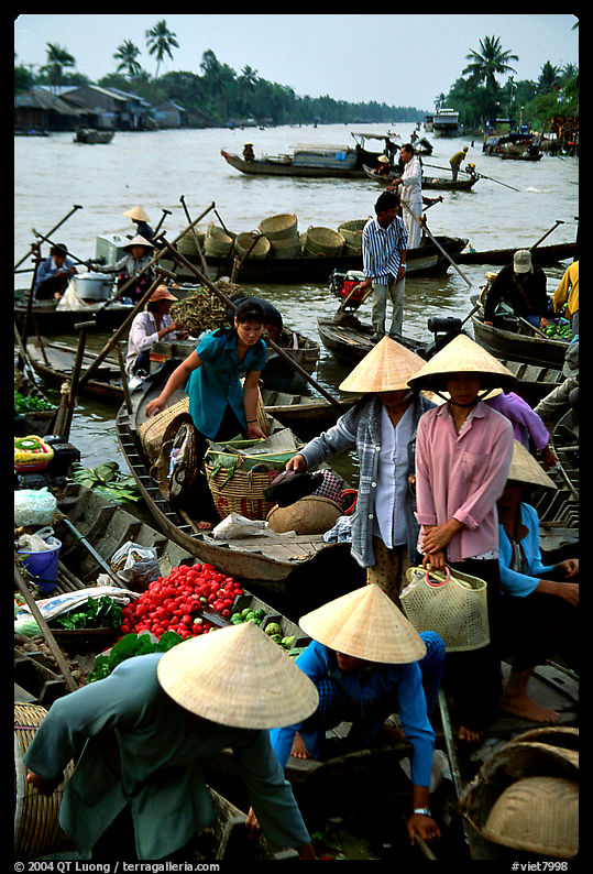 Phung Hiep floating market. Can Tho, Vietnam