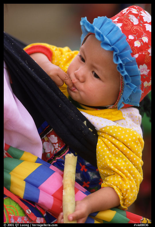 Baby enjoying sugar cane, the natural lollypop,  Bac Ha. Vietnam
