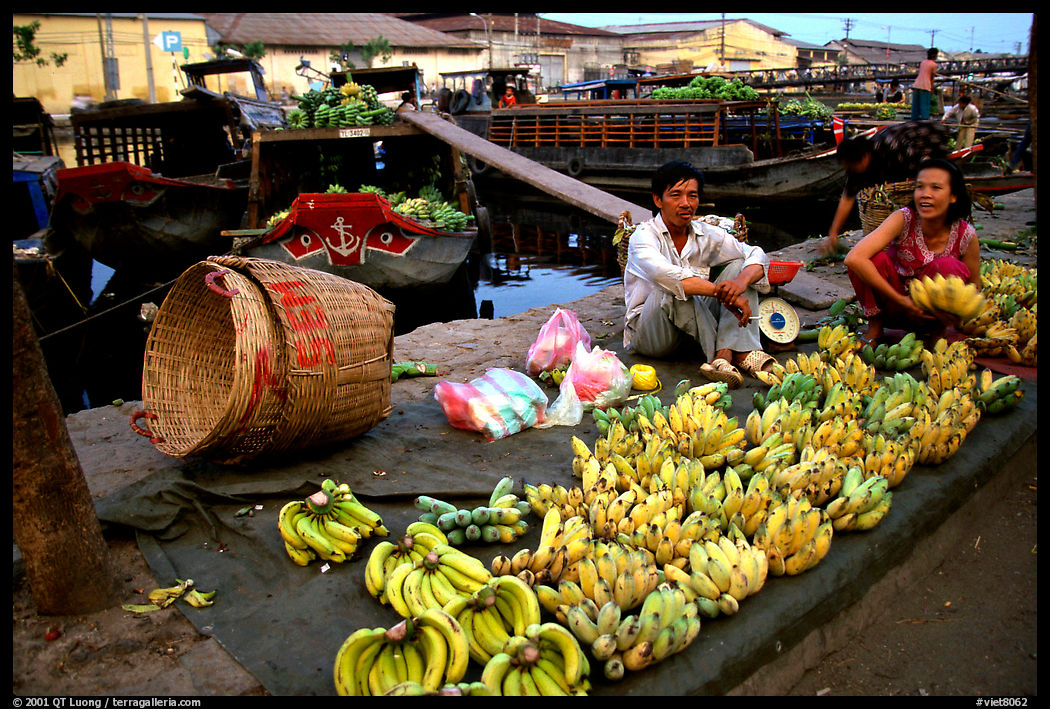 Selling freshly unloaded bananas near the Saigon arroyo. Ho Chi Minh City, Vietnam