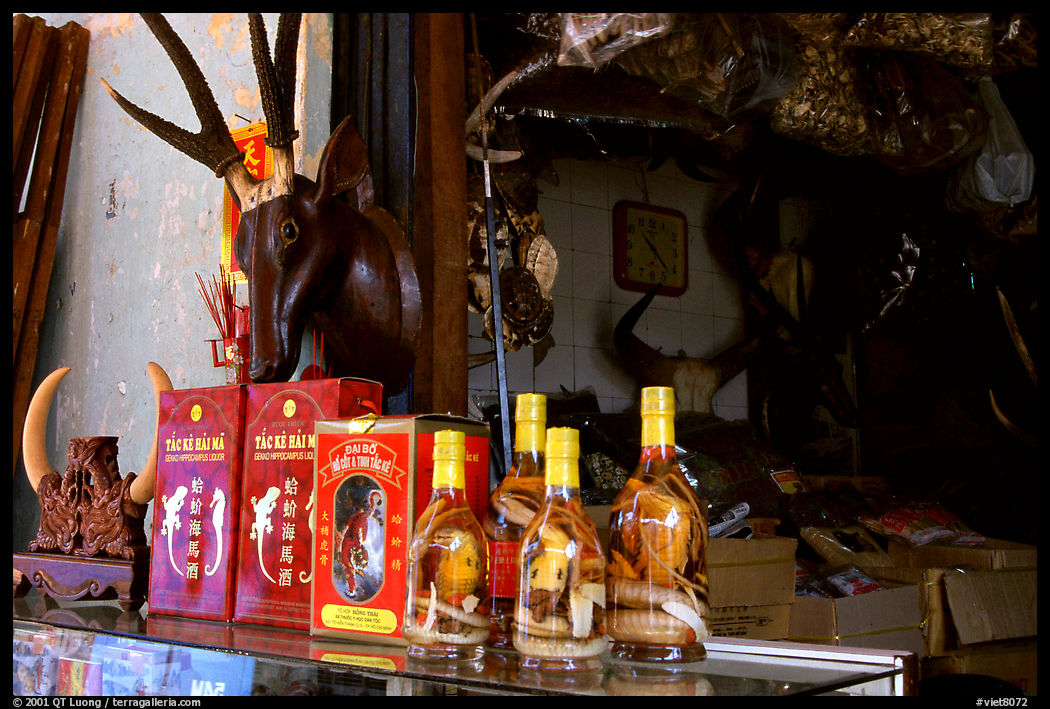 Traditional medicine is still favored by the population. A sample of traditional medicine items. Ho Chi Minh City , Vietnam