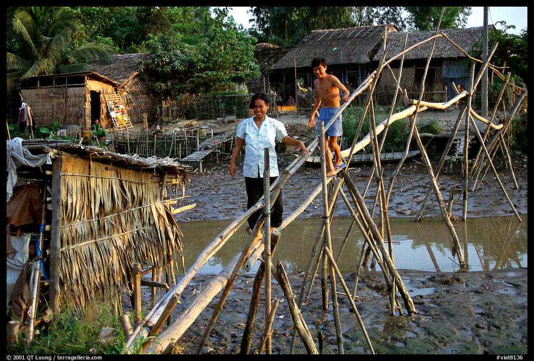 Bamboo bridge near Long Xuyen. Mekong Delta region, Vietnam