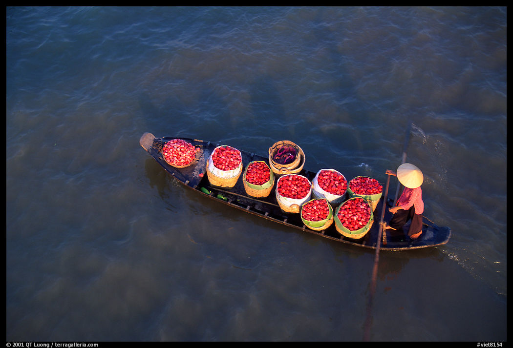 Transporting fruit on a small boat. Can Tho, Vietnam