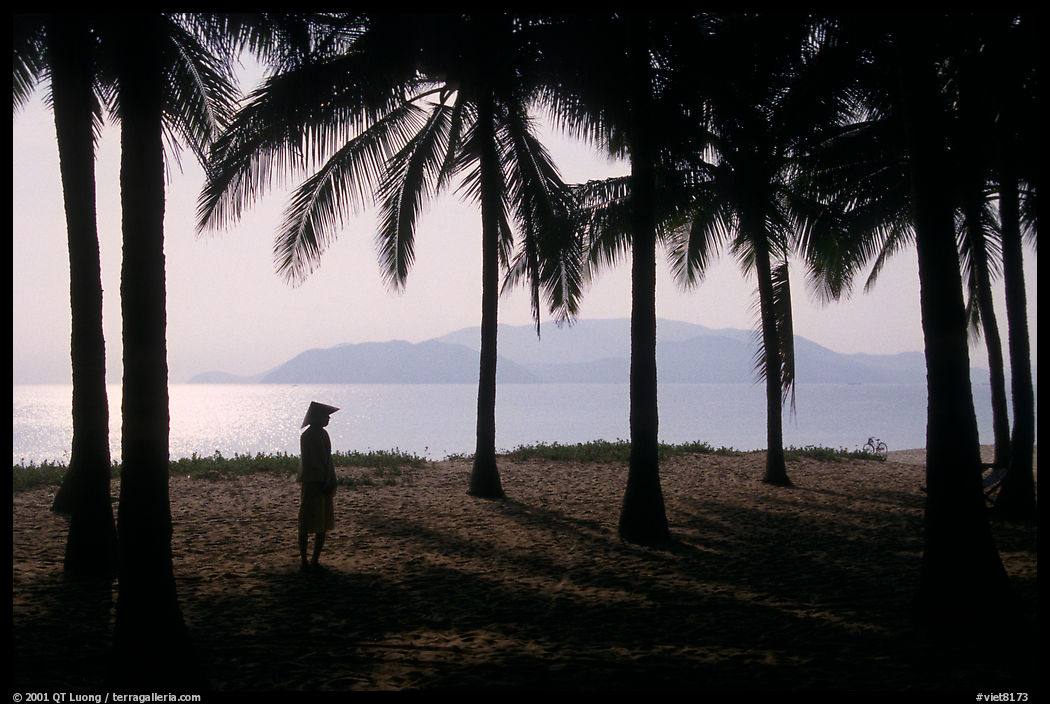 Palm-tree fringed beach, Nha Trang. Vietnam
