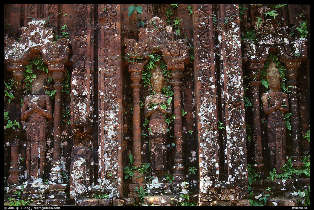 Vegetation invades ruined Cham temple, My Son. Vietnam
