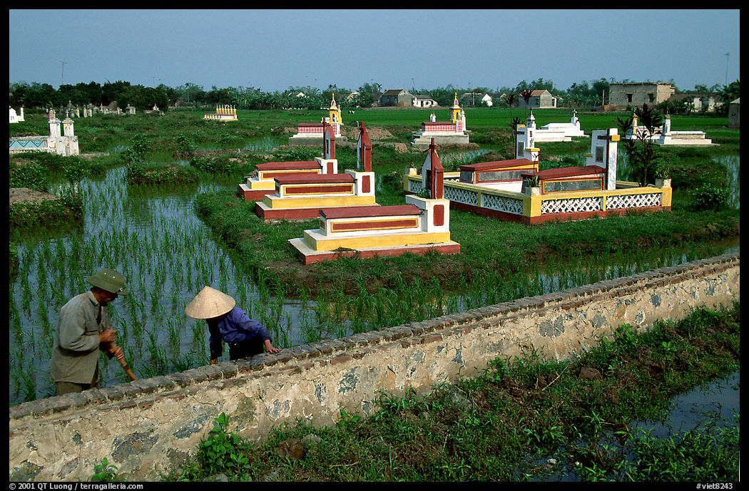 Catholic tombs set in rice field. near Ninh Binh,  Vietnam