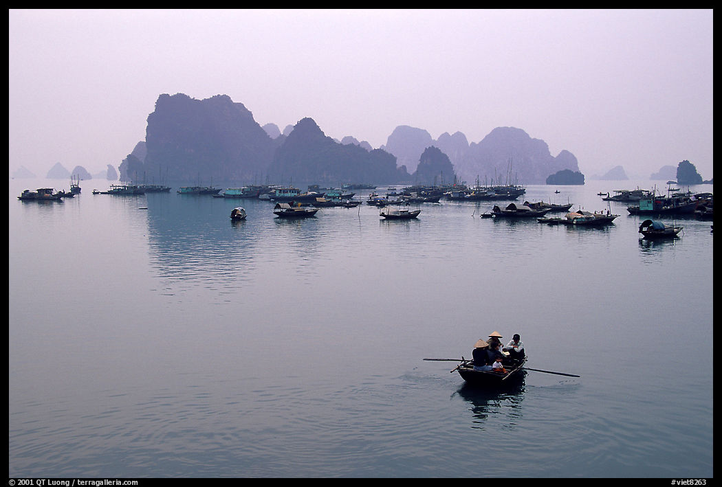 Fishing boat fleet. Halong Bay, Vietnam