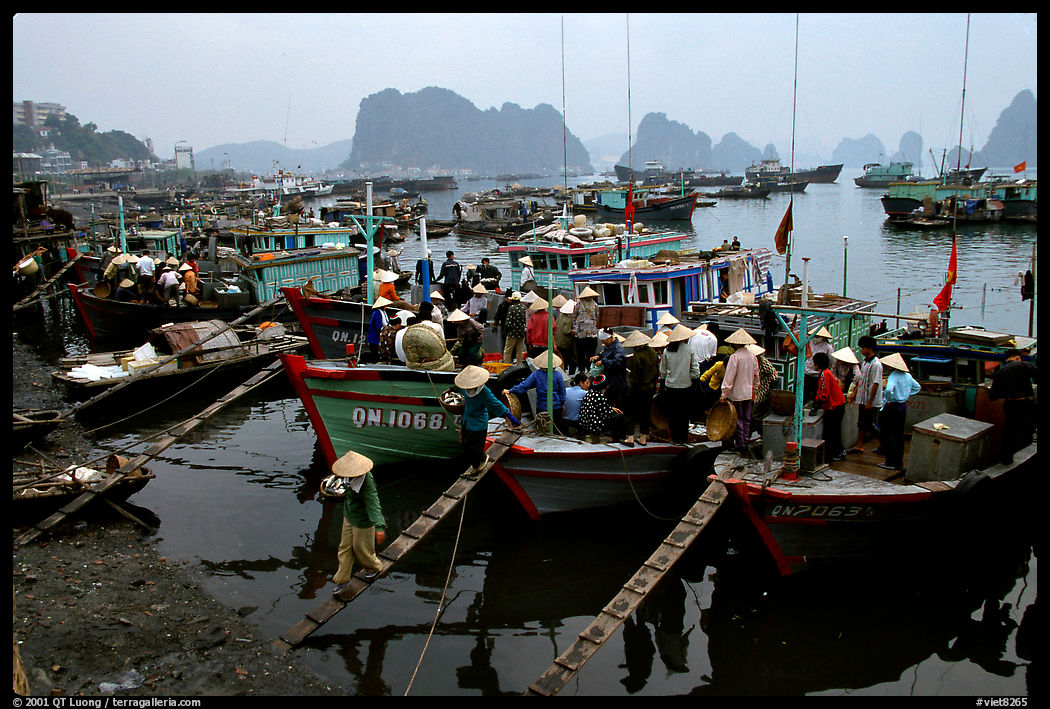Harbor in Hong Gai. Halong Bay, Vietnam