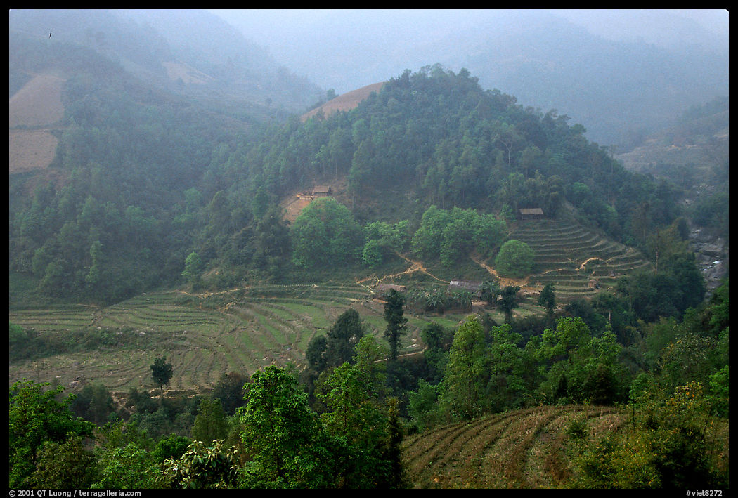 Morning fog on terraced rice fields and village. Sapa, Vietnam