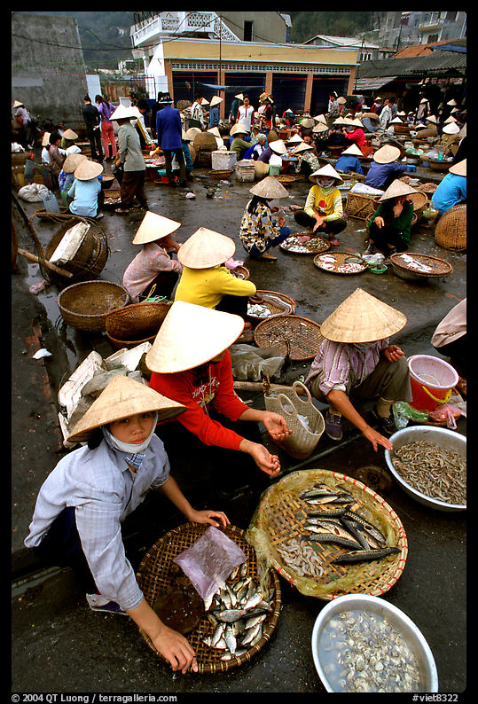 Fish market, Hong Gai. Halong Bay, Vietnam
