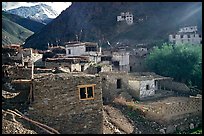 Ichack Village, Zanskar, Jammu and Kashmir. India (color)