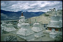 Chortens in monestary, Padum, Zanskar, Jammu and Kashmir. India ( color)