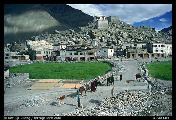 Padum, Zanskar, Jammu and Kashmir. India (color)