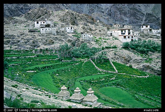 Chortens, cultivated terraces,  and village, Zanskar, Jammu and Kashmir. India (color)