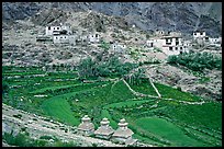 Chortens, cultivated terraces,  and village, Zanskar, Jammu and Kashmir. India