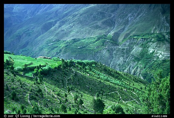 Verdant valley, Lahaul, Himachal Pradesh. India (color)