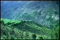 Verdant valley, Lahaul, Himachal Pradesh. India
