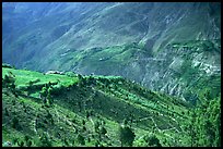 Verdant valley, Lahaul, Himachal Pradesh. India ( color)