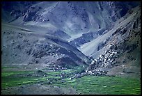 Cultivated fields, village, gompa, and barren mountains, Zanskar, Jammu and Kashmir. India ( color)