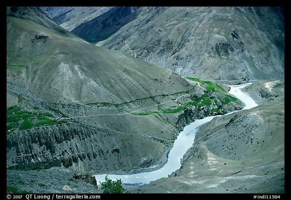 Zanskar River valley with cultivation patches, Zanskar, Jammu and Kashmir. India