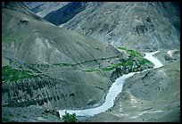 Zanskar River valley with cultivation patches, Zanskar, Jammu and Kashmir. India