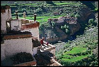 Gompa with monk on balcony overlooking verdant village, Zanskar, Jammu and Kashmir. India