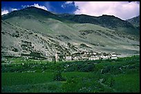 Field of barley grasses, village, and hills, Zanskar, Jammu and Kashmir. India