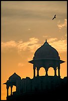 Bird and wall pavilions of Red fort, sunrise. New Delhi, India