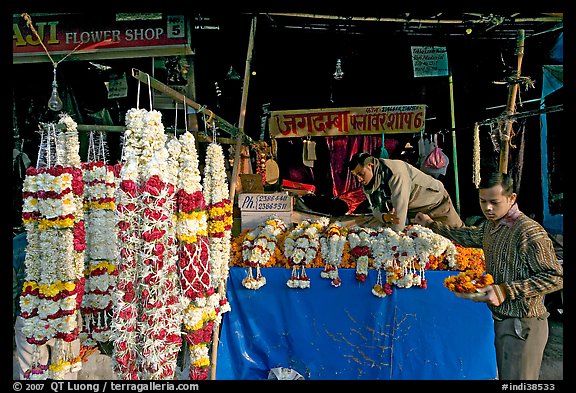 Flower shop. New Delhi, India