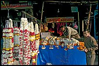 Flower shop. New Delhi, India (color)