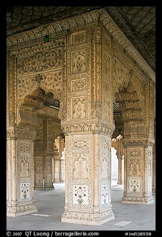 Decorated columns, Hammans, Red Fort. New Delhi, India (color)