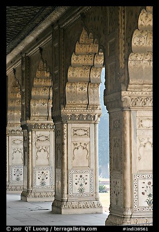 Marble columns,  Royal Baths, Red Fort. New Delhi, India (color)