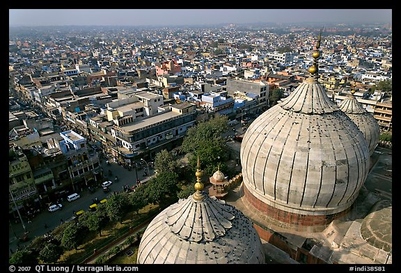 Domes of Jama Masjid mosque and Old Delhi from above. New Delhi, India